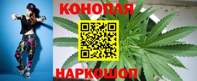 дурь Заводоуковск