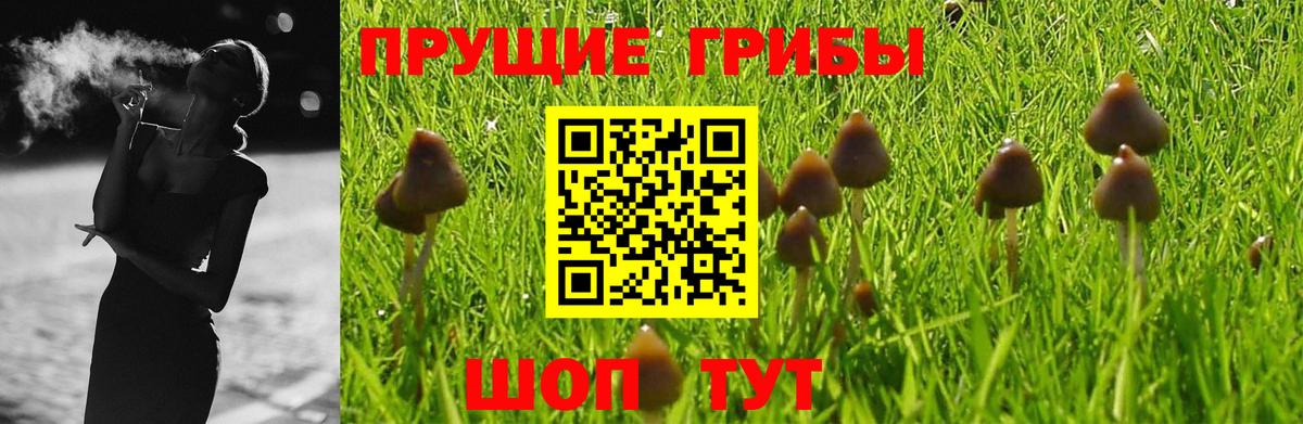 Псилоцибиновые грибы GOLDEN TEACHER Лыткарино