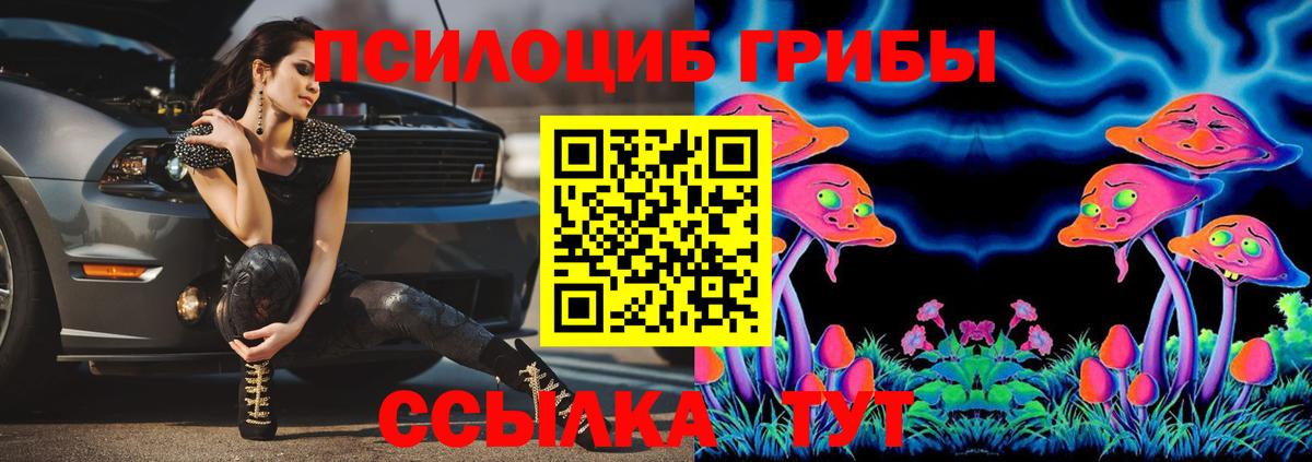 что такое наркотик  Галлюциногенные грибы MAGIC MUSHROOMS  Вход с VPN  Лыткарино 